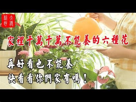 家裡不能放的花|永生花放家裡的禁忌 家裡放永生花有什麼風水講究